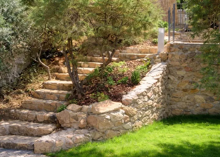 Rosa Torre delle Stelle