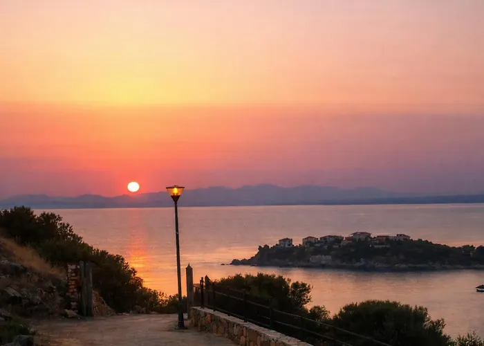 Rosa Torre delle Stelle